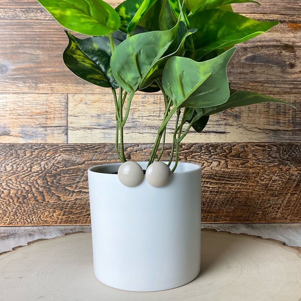 Circular Studded Earrings